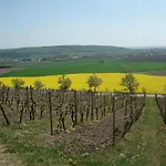 Landgasthof Zum Schwarzen Adler Hotel 3*