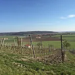 Hotel Landgasthof Zum Schwarzen Adler