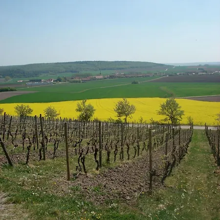 Landgasthof Zum Schwarzen Adler Hotel 3*
