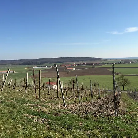 Hotel Landgasthof Zum Schwarzen Adler